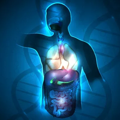 Endocrinology Endocrinology