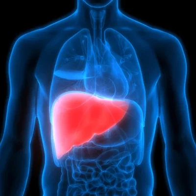 Hepatic disease Hepatic disease