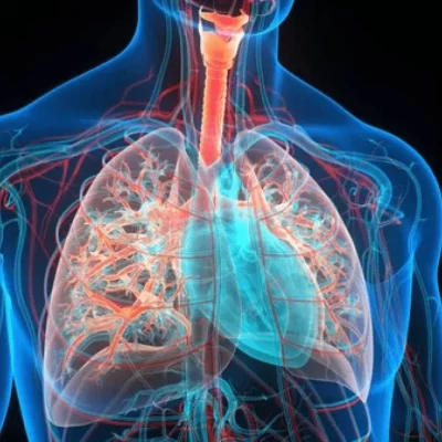 Respiratory Respiratory