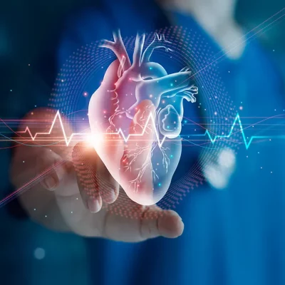 cardiovascular Cardiovascular