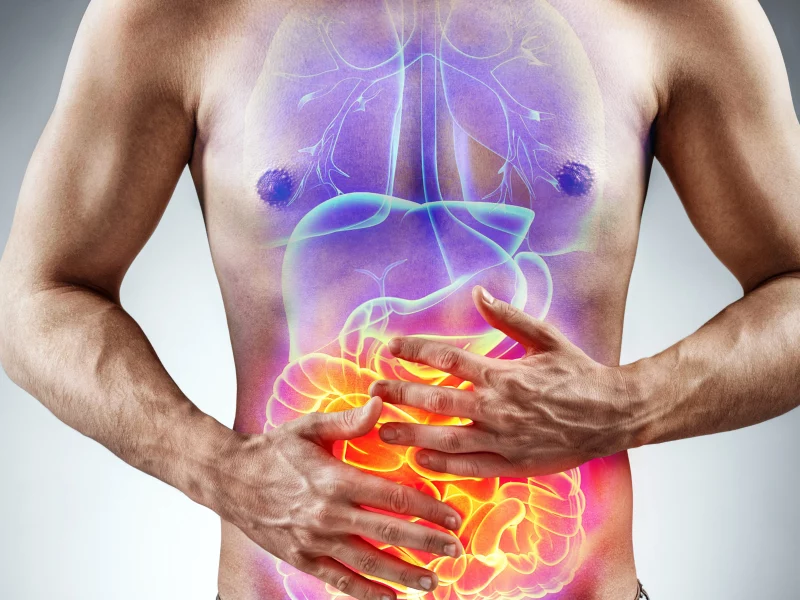 digestive health
