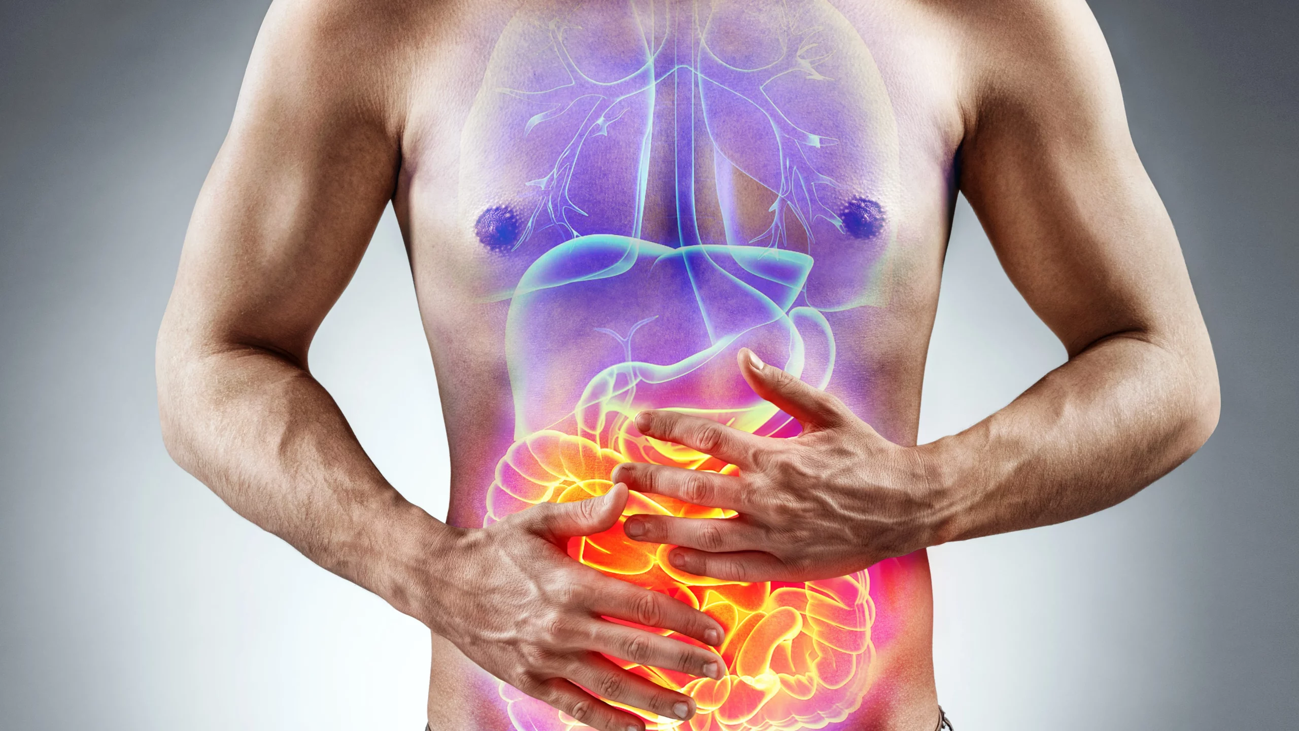 digestive health
