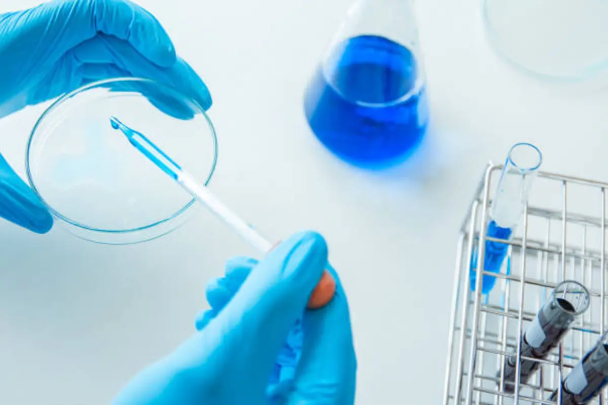 in vitro studies
